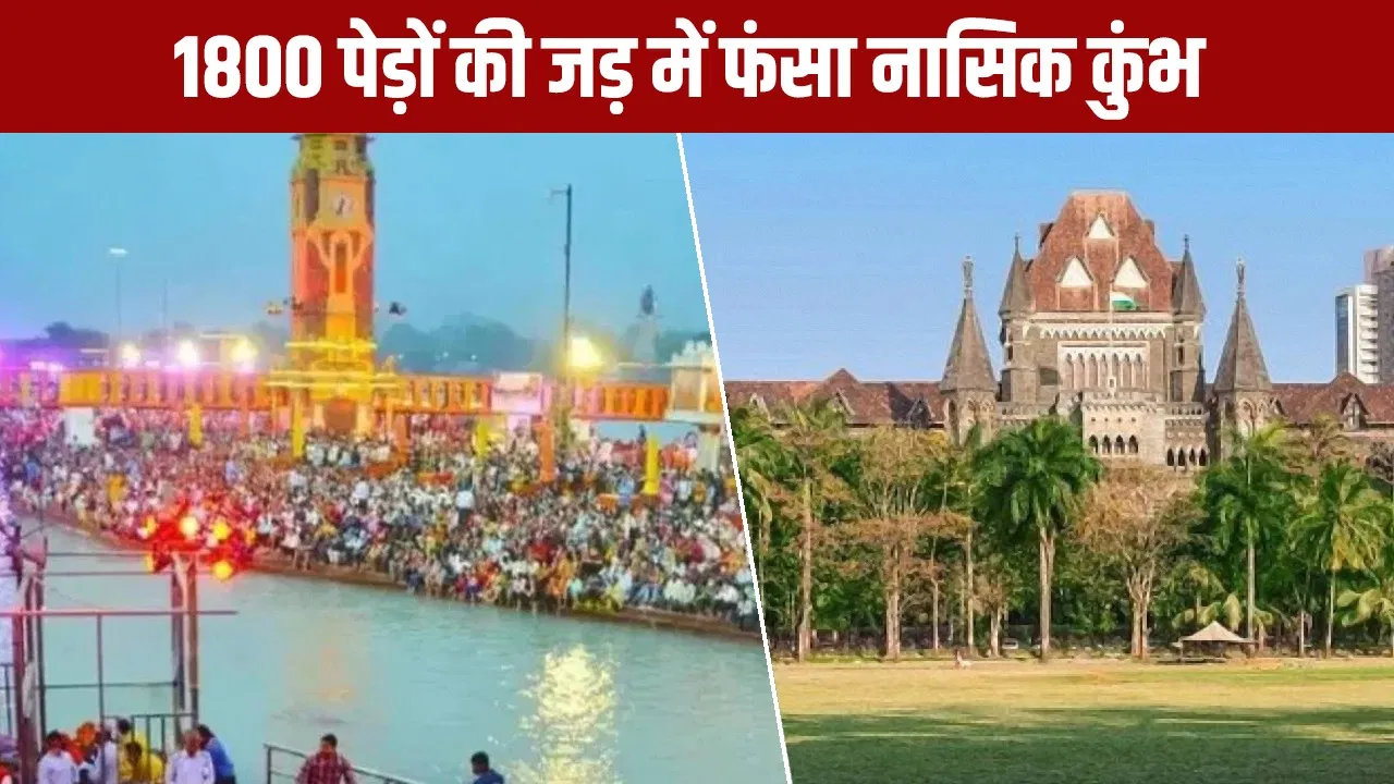 Explainer: आस्था पर पर्यावरण का पहरा… 1800 पेड़ों ने नासिक महाकुंभ की तैयारियों पर लगाया ब्रेक, क्या है पूरा मामला? Explainer: आस्था पर पर्यावरण का पहरा... 1800 पेड़ों ने नासिक महाकुंभ की तैयारियों पर लगाया ब्रेक, क्या है पूरा मामला?