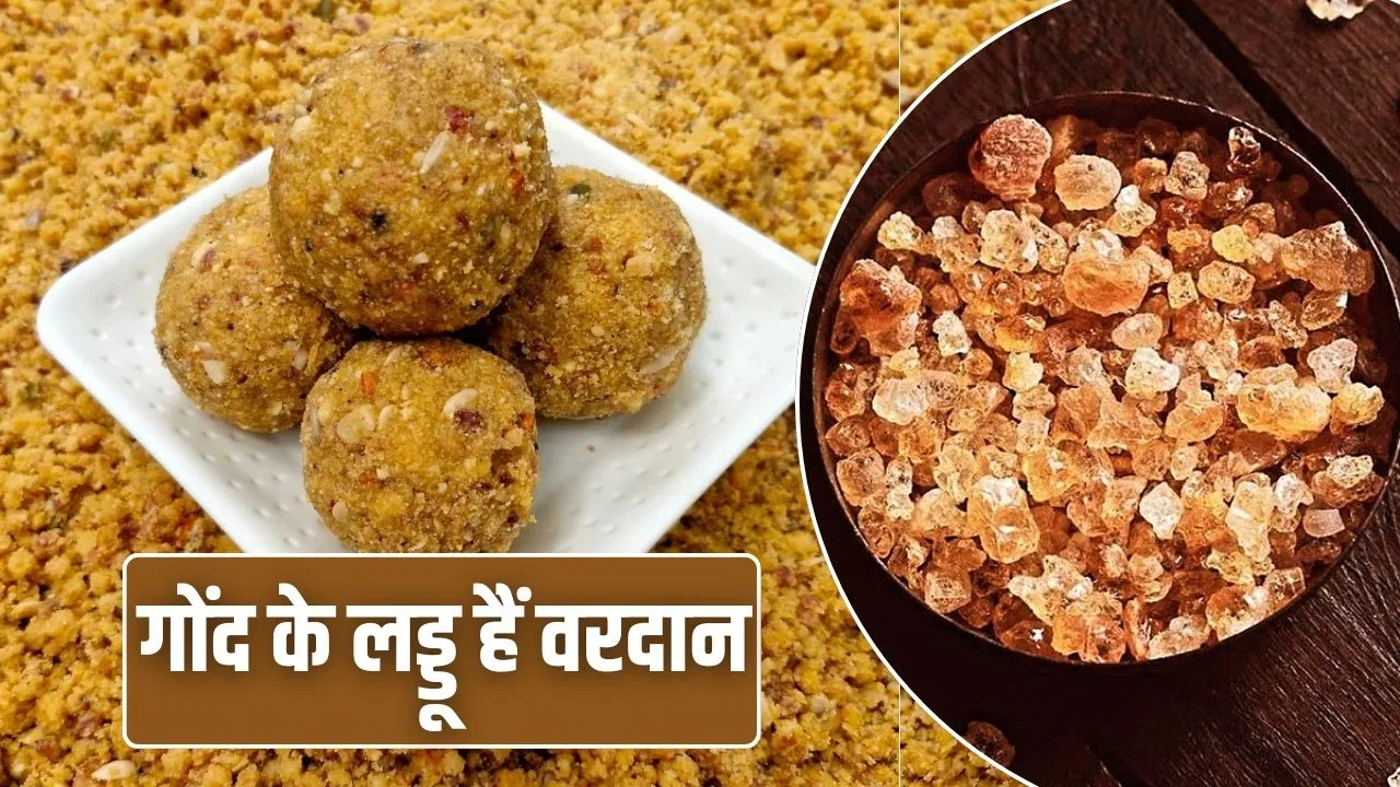 Gond Laddu Benefits: जोड़ो का दर्द-सूजन…सर्दियों की समस्याएं रहेंगी दूर,गोंद के लड्डू के एक्सपर्ट ने गिनाए इतने फायदे Gond Laddu Benefits: जोड़ो का दर्द-सूजन...सर्दियों की समस्याएं रहेंगी दूर,गोंद के लड्डू के एक्सपर्ट ने गिनाए इतने फायदे