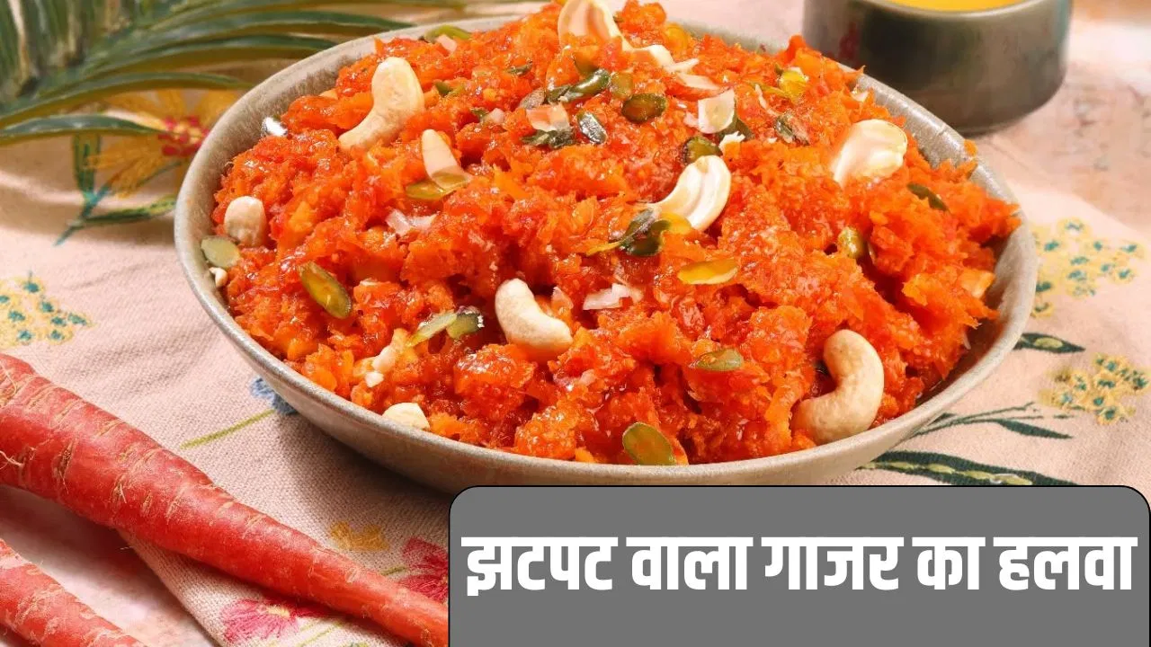 Instant Gajar Halwa Recipe: न घिसने का झंझट, न टाइम लगने की टेंशन…गाजर के हलवे को बनाने का वायरल तरीका Instant Gajar Halwa Recipe: न घिसने का झंझट, न टाइम लगने की टेंशन...गाजर के हलवे को बनाने का वायरल तरीका