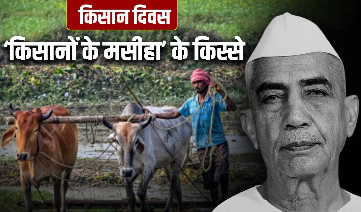National Farmer’s Day 2025: किसानों के लिए पंडित नेहरू से भिड़ने वाले चौधरी चरण सिंह कैसे PM की कुर्सी तक पहुंचे? National Farmer's Day 2025: किसानों के लिए पंडित नेहरू से भिड़ने वाले चौधरी चरण सिंह कैसे PM की कुर्सी तक पहुंचे?