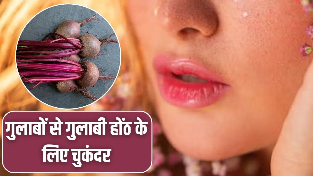 Natural Skin Care: चुकंदर से बना लें ये दो नेचुरल प्रोडक्ट, फटे होंठ की होगी छुट्टी, सर्दियों में मिलेंगे सॉफ्ट-पिंक लिप्स Natural Skin Care: चुकंदर से बना लें ये दो नेचुरल प्रोडक्ट, फटे होंठ की होगी छुट्टी, सर्दियों में मिलेंगे सॉफ्ट-पिंक लिप्स