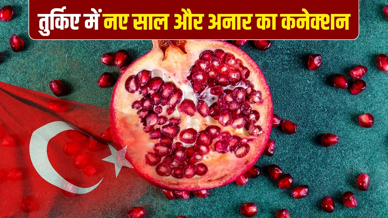New Year 2026: तुर्किए में नए साल पर अनार क्यों फोड़ते हैं, क्या है इसके दानों से कनेक्शन? New Year 2026: तुर्किए में नए साल पर अनार क्यों फोड़ते हैं, क्या है इसके दानों से कनेक्शन?