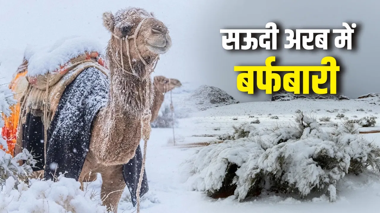 Saudi Arabia Snowfall: सऊदी अरब में 30 साल बाद बर्फबारी क्यों हुई? गर्मी से तपने वाले रेगिस्तान में सर्दी का सितम Saudi Arabia Snowfall: सऊदी अरब में 30 साल बाद बर्फबारी क्यों हुई? गर्मी से तपने वाले रेगिस्तान में सर्दी का सितम