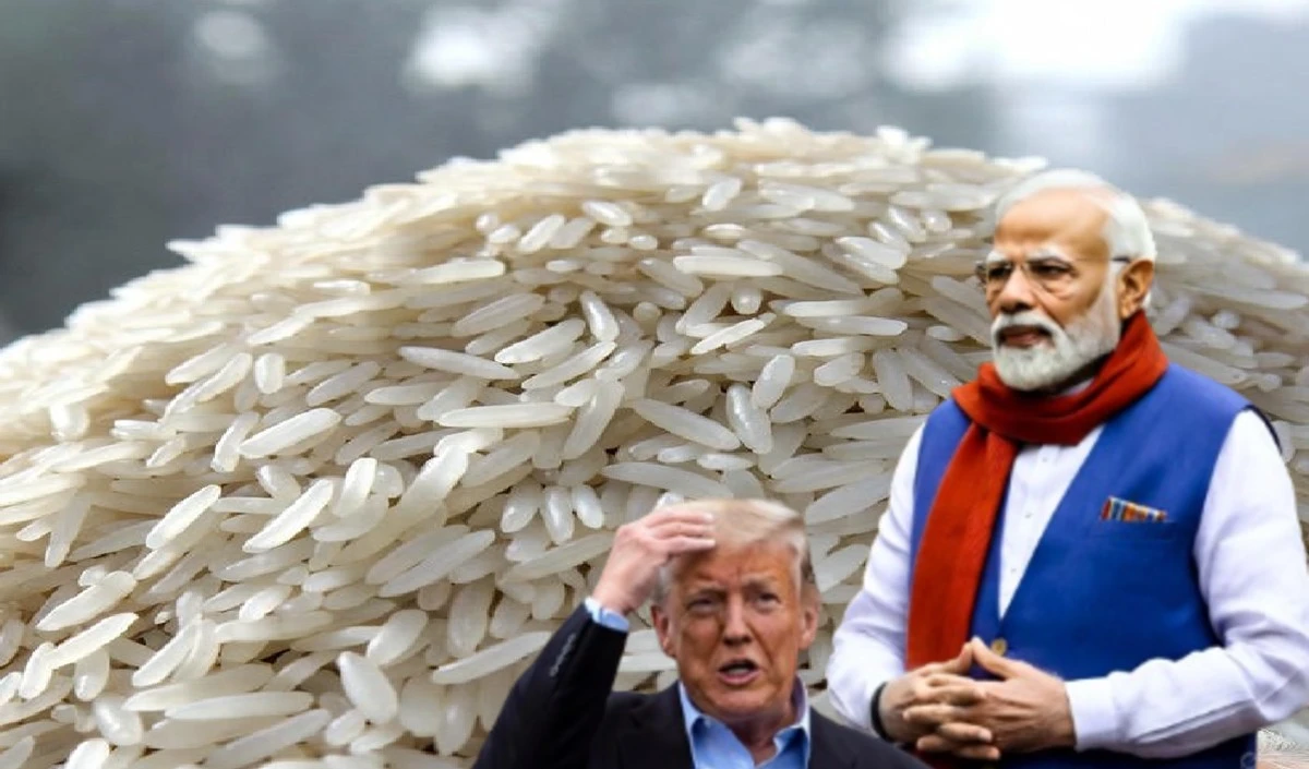 Trump के खतरनाक प्लान पर फिर जाएगा पानी, अब मोदी रोकेंगे पूरे अमेरिका का चावल Trump के खतरनाक प्लान पर फिर जाएगा पानी, अब मोदी रोकेंगे पूरे अमेरिका का चावल