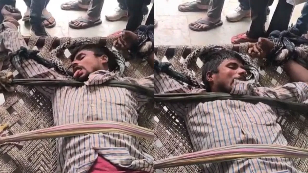 VIDEO: काटने के लिए दौड़ रहा, आवाज भी बदली… कुत्ते ने काटा; 18 घंटे बाद ही करने लगा अजीब हरकतें VIDEO: काटने के लिए दौड़ रहा, आवाज भी बदली... कुत्ते ने काटा; 18 घंटे बाद ही करने लगा अजीब हरकतें