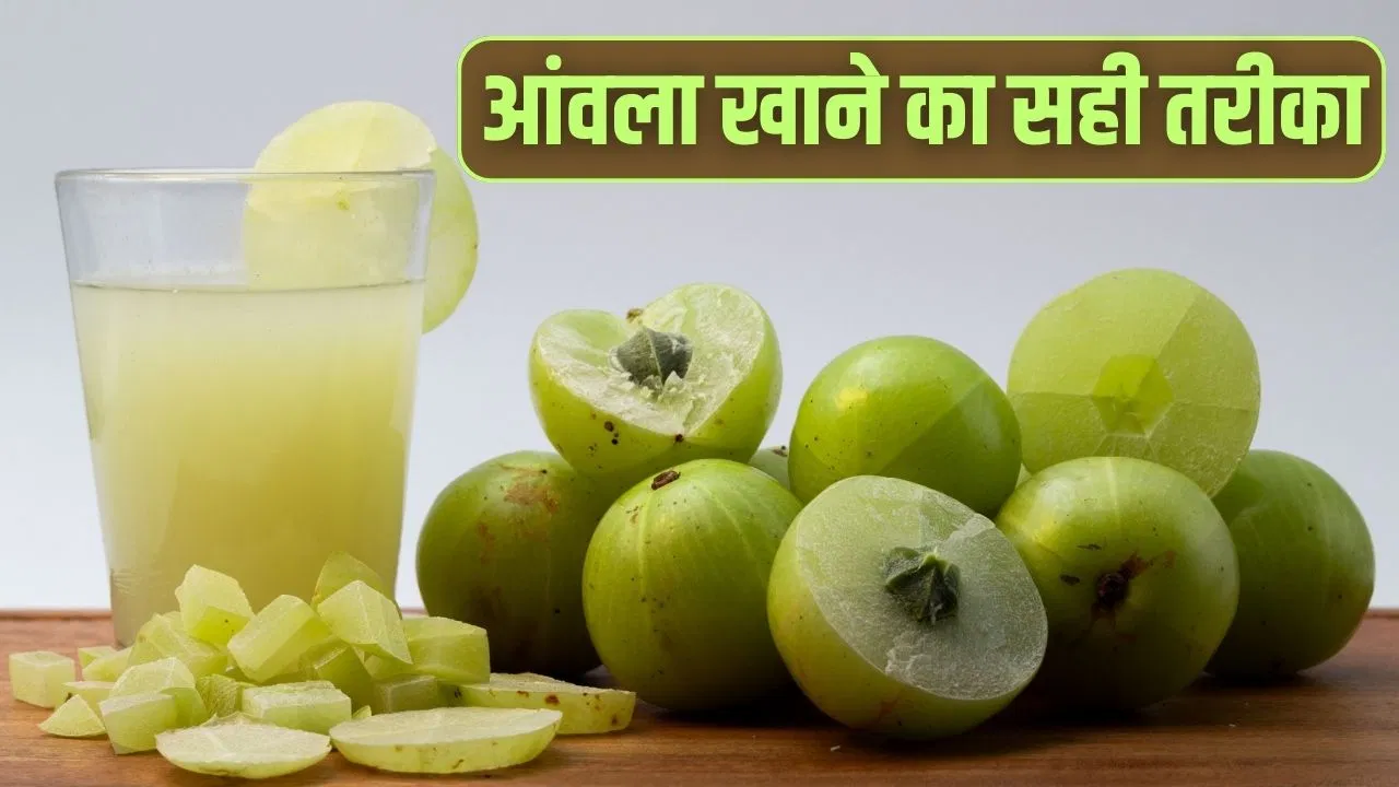 Winter Superfood Amla: सर्दियों का सुपरफूड फल आंवला…चबाकर खाना सही या इसका जूस पीना फायदेमंद, एक्सपर्ट से जानें Winter Superfood Amla: सर्दियों का सुपरफूड फल आंवला...चबाकर खाना सही या इसका जूस पीना फायदेमंद, एक्सपर्ट से जानें