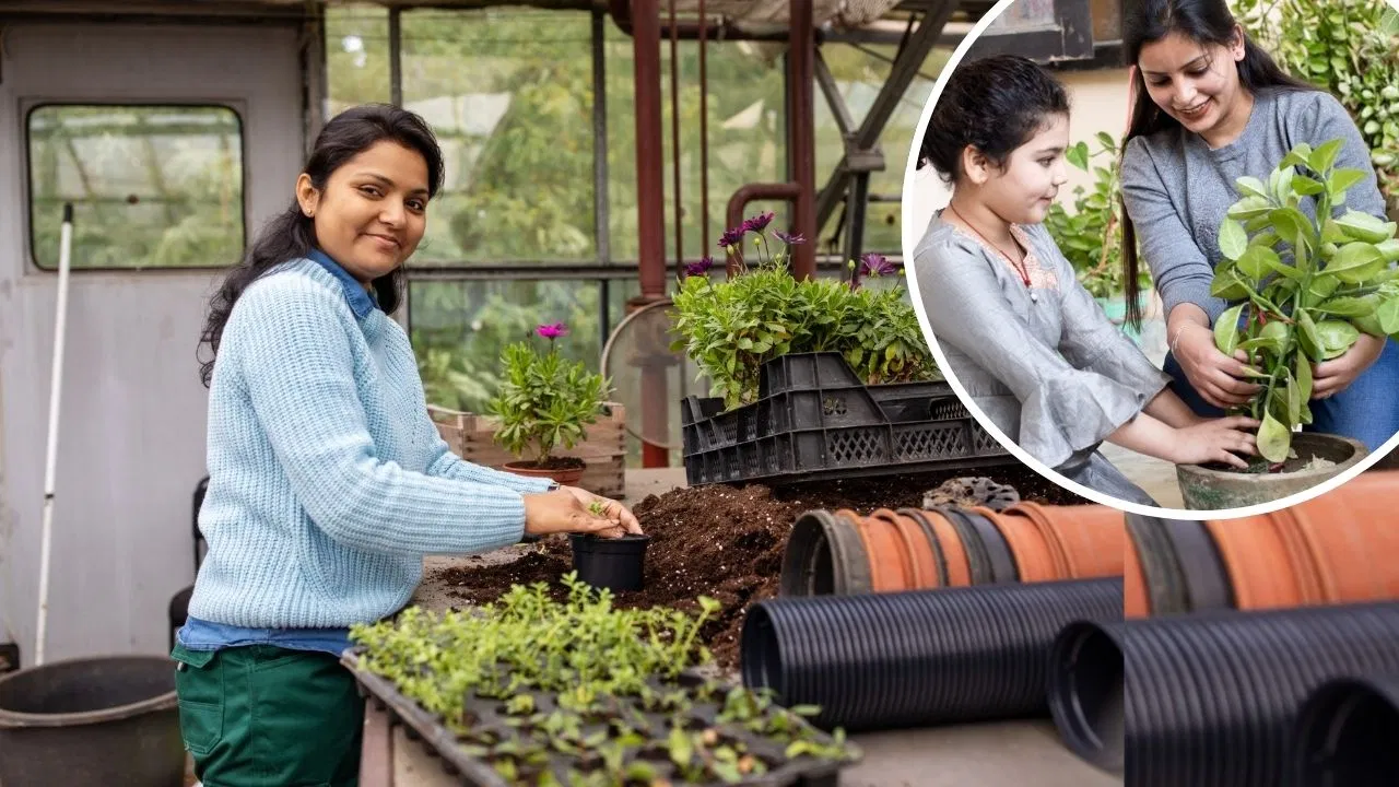 World Soil Day: गार्डनिंग में इन 5 तरह की मिट्टी का ज्यादा होता है यूज, पौधे में आते हैं फल-फूल World Soil Day: गार्डनिंग में इन 5 तरह की मिट्टी का ज्यादा होता है यूज, पौधे में आते हैं फल-फूल