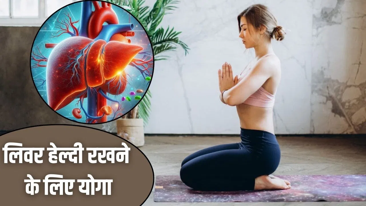 Yoga For Healthy liver: लिवर को रहेगा हेल्दी…रोज करें ये 5 आसान योगा एक्टिविटी, योग एक्सपर्ट ने बताई Yoga For Healthy liver: लिवर को रहेगा हेल्दी...रोज करें ये 5 आसान योगा एक्टिविटी, योग एक्सपर्ट ने बताई