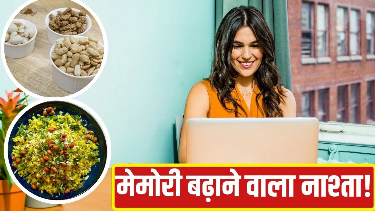 अब बादाम छोड़िए ये नाश्ता करिए, बढ़ा देगा मेमोरी पावर, वैज्ञानिकों ने की खोज अब बादाम छोड़िए ये नाश्ता करिए, बढ़ा देगा मेमोरी पावर, वैज्ञानिकों ने की खोज
