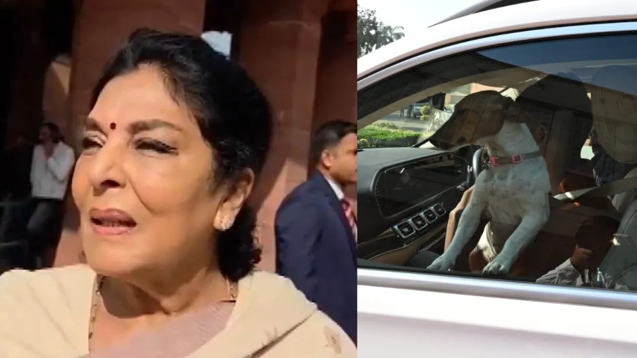 असली काटने वाले तो पार्लियामेंट में बैठे हैं… संसद भवन में कुत्ता लेकर पहुंचीं कांग्रेस सांसद रेणुका चौधरी क्या बोल गईं? असली काटने वाले तो पार्लियामेंट में बैठे हैं... संसद भवन में कुत्ता लेकर पहुंचीं कांग्रेस सांसद रेणुका चौधरी क्या बोल गईं?