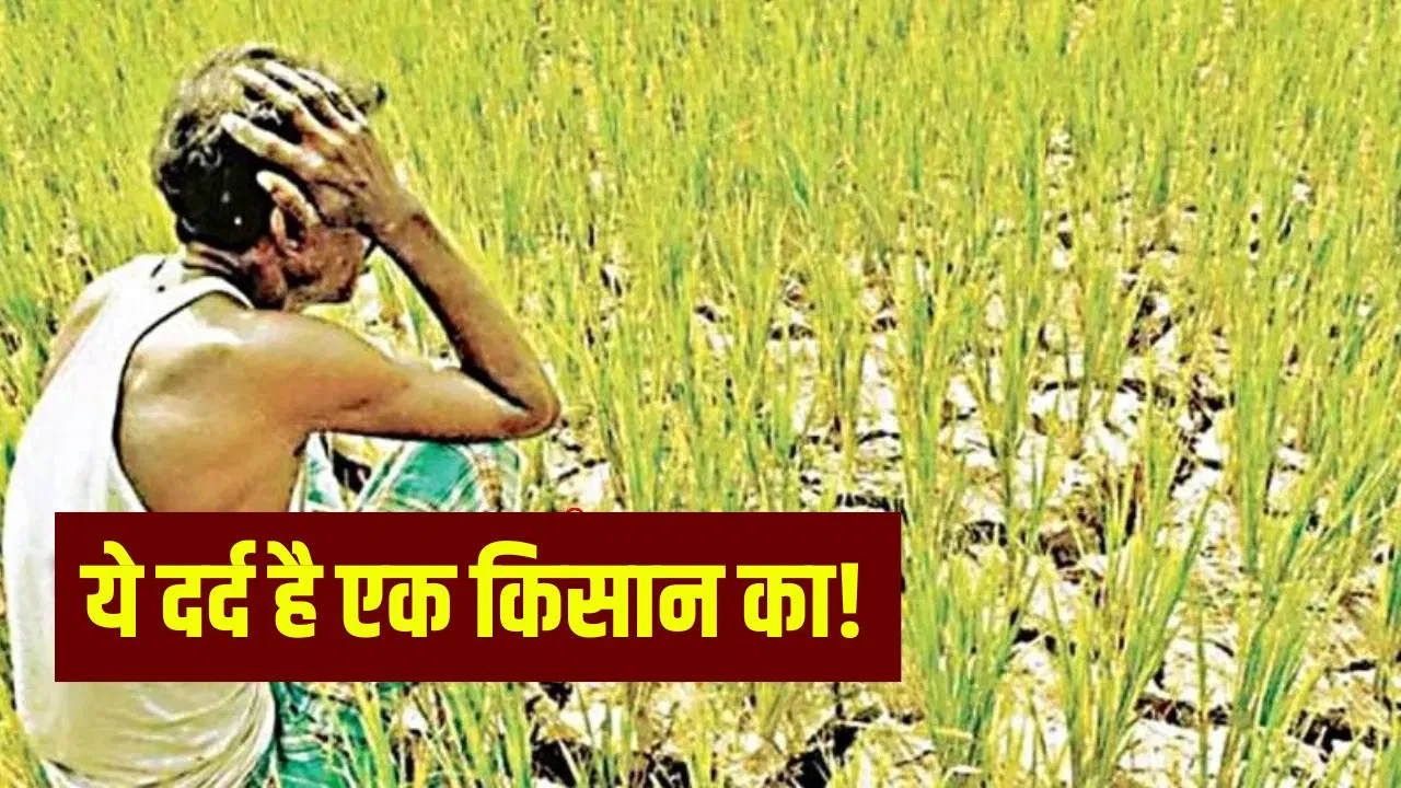 एक लाख उधार का कर्ज 74 लाख, चुकाने के लिए किसान ने 8 लाख में बेची किडनी; हैरान कर देगा चंद्रपुर का ये मामला एक लाख उधार का कर्ज 74 लाख, चुकाने के लिए किसान ने 8 लाख में बेची किडनी; हैरान कर देगा चंद्रपुर का ये मामला