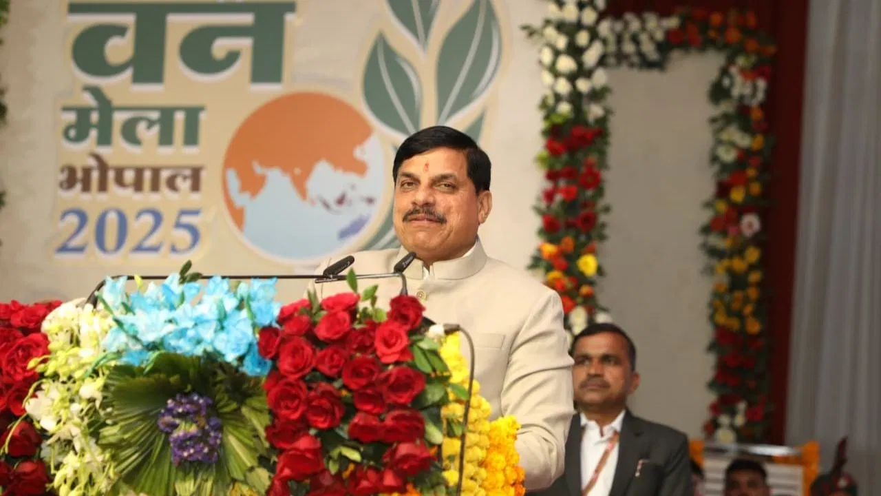 एमपी में अन्तर्राष्ट्रीय वन मेले का आगाज… सीएम मोहन यादव बोले- पीएम मोदी ने आयुर्वेद को बढ़ाया एमपी में अन्तर्राष्ट्रीय वन मेले का आगाज... सीएम मोहन यादव बोले- पीएम मोदी ने आयुर्वेद को बढ़ाया