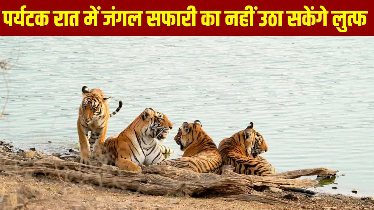 कान्हा टाइगर रिजर्व में नाइट सफारी बंद, पर्यटकों की बुकिंग भी निरस्त; पूरा पैसा होगा रिफंड… क्यों लिया गया ये फैसला? कान्हा टाइगर रिजर्व में नाइट सफारी बंद, पर्यटकों की बुकिंग भी निरस्त; पूरा पैसा होगा रिफंड... क्यों लिया गया ये फैसला?