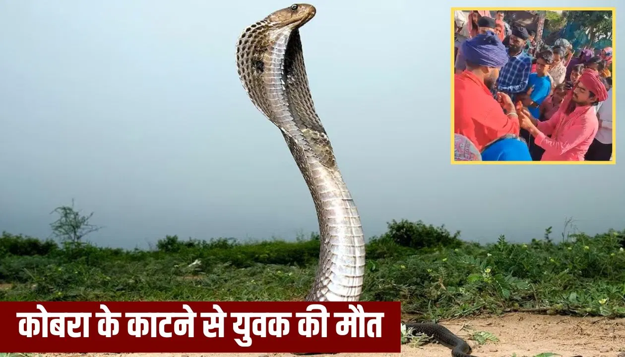 ‘खुद को सांप से कटवाओ, तब…’, सहारनपुर में YouTuber ने बीन बजाने वाले पर डाला दवाब, कोबरा के डसने से मौत 'खुद को सांप से कटवाओ, तब...', सहारनपुर में YouTuber ने बीन बजाने वाले पर डाला दवाब, कोबरा के डसने से मौत
