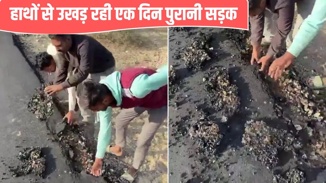 गजब हाल! 15 साल बाद बनी सड़क, 2 दिन में ही उखड़ने लगी; बाड़मेर में ठेकेदार ने रेत पर बिछा दिया डामर गजब हाल! 15 साल बाद बनी सड़क, 2 दिन में ही उखड़ने लगी; बाड़मेर में ठेकेदार ने रेत पर बिछा दिया डामर