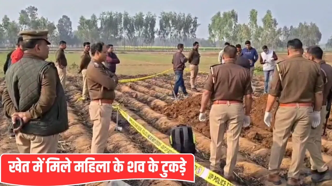 गन्ने के खेत में मिले महिला के शव के टुकड़े… मुरादाबाद पुलिस ने जुटाए सबूत, जांच शुरू गन्ने के खेत में मिले महिला के शव के टुकड़े... मुरादाबाद पुलिस ने जुटाए सबूत, जांच शुरू