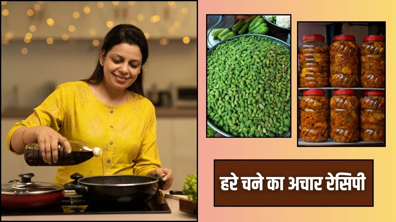 गाजर और गोभी नहीं… सर्दी में बनाएं हरे चने का अचार, जानें आसान रेसिपी गाजर और गोभी नहीं... सर्दी में बनाएं हरे चने का अचार, जानें आसान रेसिपी
