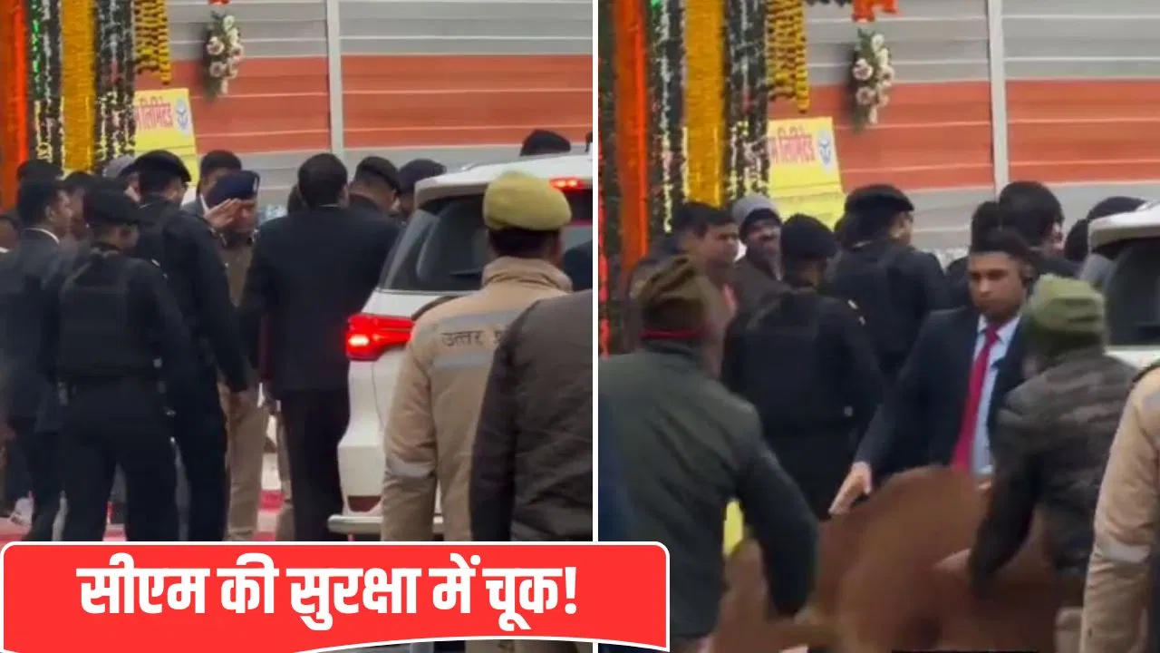 गोरखपुर में सीएम योगी की सुरक्षा में चूक, काफिले के पास आई दौड़ती हुई गाय… सुपरवाइजर सस्पेंड गोरखपुर में सीएम योगी की सुरक्षा में चूक, काफिले के पास आई दौड़ती हुई गाय... सुपरवाइजर सस्पेंड