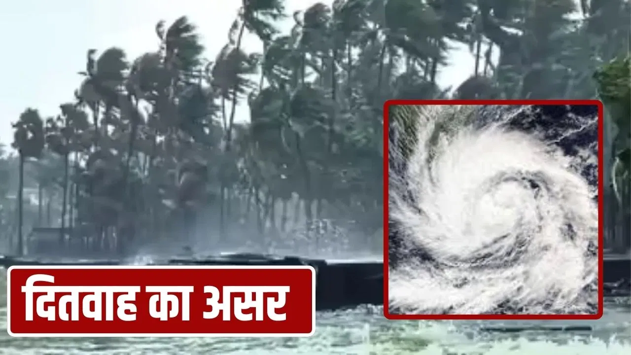 चक्रवात दितवाह से तमिलनाडु में भारी बारिश, अब तक तीन की मौत… 24 घंटे में दिखेगा प्रचंड रूप चक्रवात दितवाह से तमिलनाडु में भारी बारिश, अब तक तीन की मौत... 24 घंटे में दिखेगा प्रचंड रूप