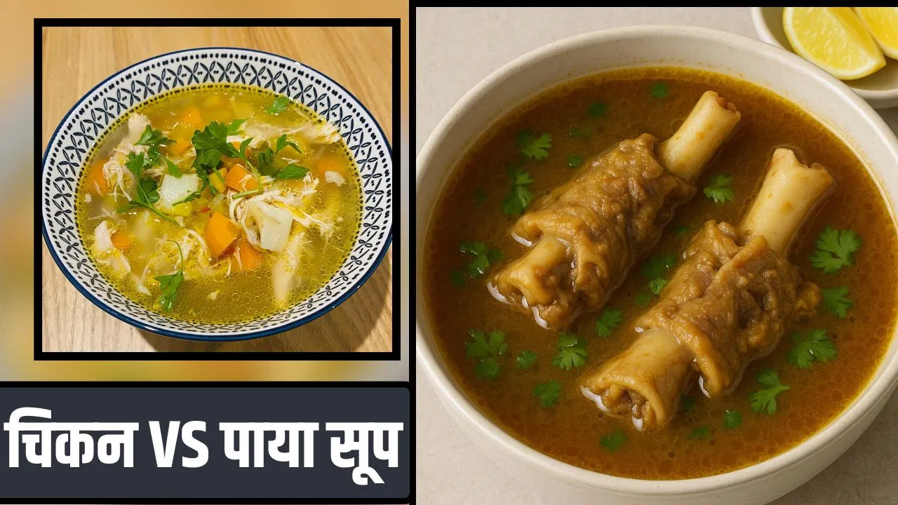 चिकन या पाया…सर्दियों में किस चीज का सूप देगा ज्यादा ताकत? एक्सपर्ट से जानें चिकन या पाया...सर्दियों में किस चीज का सूप देगा ज्यादा ताकत? एक्सपर्ट से जानें