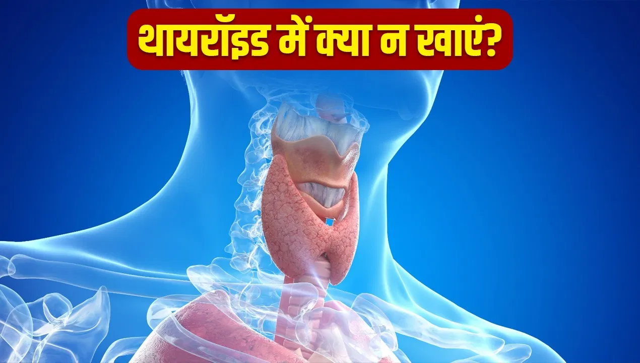 थाइरॉइड के मरीजों को सर्दियों में क्या चीजें नहीं खानी चाहिए? एक्सपर्ट से जानें थाइरॉइड के मरीजों को सर्दियों में क्या चीजें नहीं खानी चाहिए? एक्सपर्ट से जानें