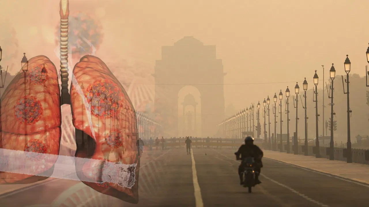 दिल्ली की हवा में सांस लेने का मतलब रोज 14 सिगरेट पीना! नई रिपोर्ट में चौंकाने वाला खुलासा दिल्ली की हवा में सांस लेने का मतलब रोज 14 सिगरेट पीना! नई रिपोर्ट में चौंकाने वाला खुलासा