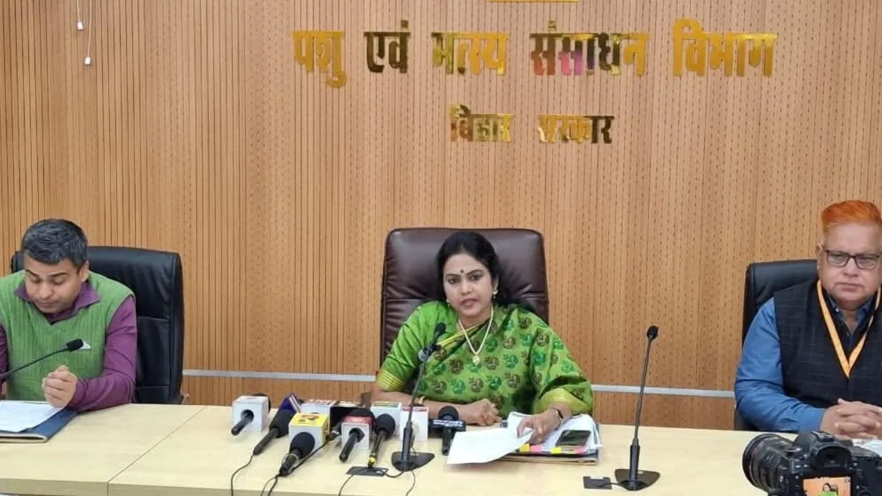 दूध, अंडा और मांस… बिहार में पशुधन उत्पादन में रिकॉर्ड उछाल, अर्थव्यवस्था को मिलेगी मजबूती दूध, अंडा और मांस... बिहार में पशुधन उत्पादन में रिकॉर्ड उछाल, अर्थव्यवस्था को मिलेगी मजबूती