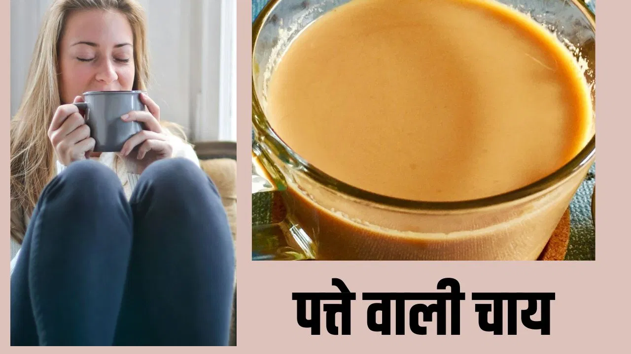 न तुलसी न जराकुस…चाय में डाल दें ये 1 पत्ता, स्वाद और सेहत का बनेगा परफेक्ट कॉम्बो न तुलसी न जराकुस...चाय में डाल दें ये 1 पत्ता, स्वाद और सेहत का बनेगा परफेक्ट कॉम्बो