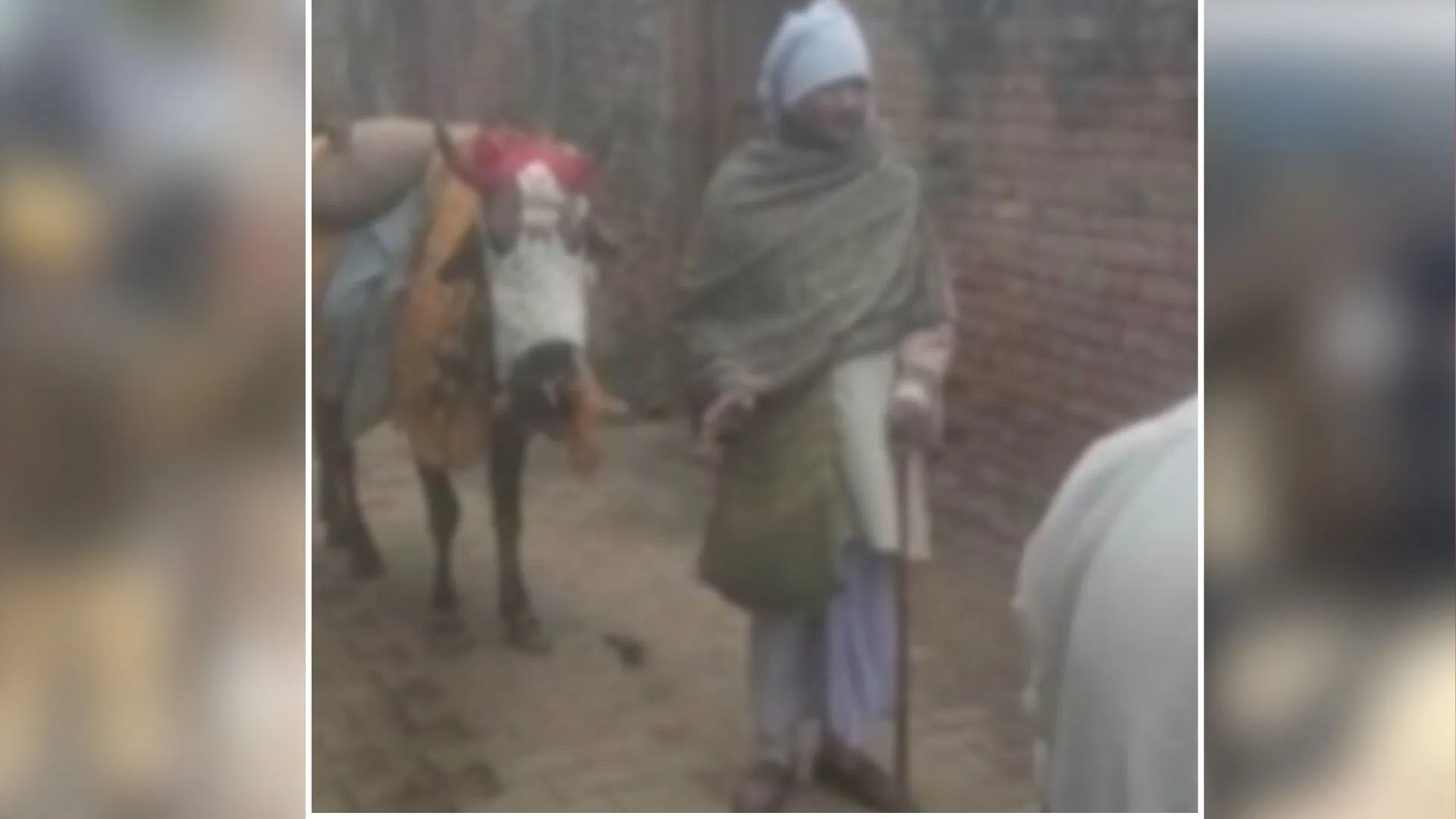 ‘नंदी बैल बताएंगे भविष्य’,अमरोहा में राकेश बनकर असलम मांग रहा था भीख, गांववालों के सामने खुला राज, फिर जो हुआ… 'नंदी बैल बताएंगे भविष्य',अमरोहा में राकेश बनकर असलम मांग रहा था भीख, गांववालों के सामने खुला राज, फिर जो हुआ...
