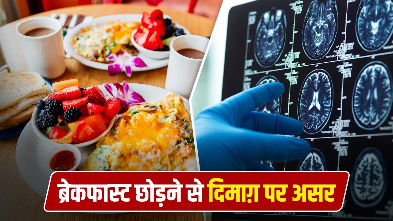 नाश्ता छोड़ने की आदत बिगाड़ सकती है दिमाग की सेहत, इन बीमारियों का है खतरा नाश्ता छोड़ने की आदत बिगाड़ सकती है दिमाग की सेहत, इन बीमारियों का है खतरा
