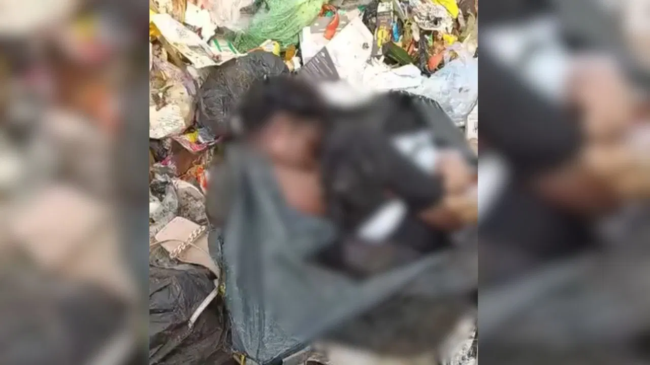 नोएडा में कूड़े के ढेर में महिला का शव मिलने से हड़कंप, हाथ-पैर थे बंधे हुए… CCTV खंगाल रही पुलिस नोएडा में कूड़े के ढेर में महिला का शव मिलने से हड़कंप, हाथ-पैर थे बंधे हुए... CCTV खंगाल रही पुलिस