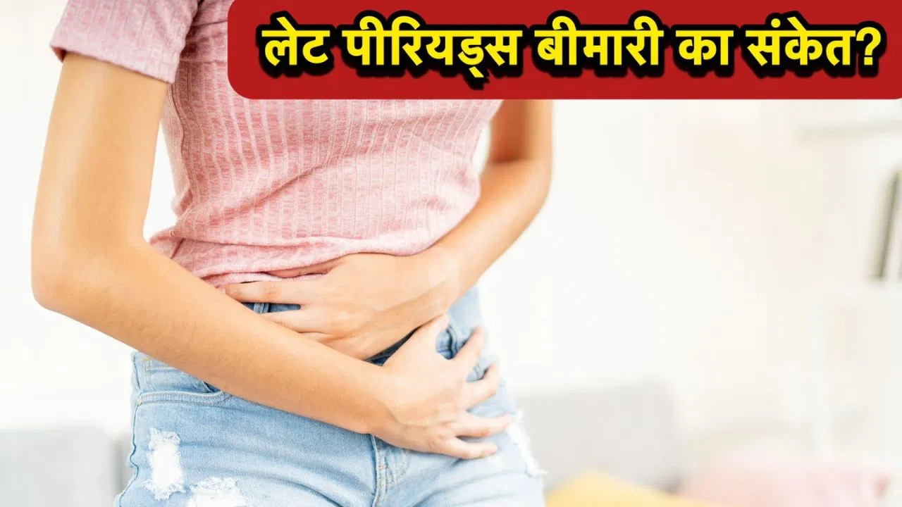पीरियड्स समय से न आना कोई बीमारी है क्या, ये क्यों होता है? एक्सपर्ट से जानें पीरियड्स समय से न आना कोई बीमारी है क्या, ये क्यों होता है? एक्सपर्ट से जानें