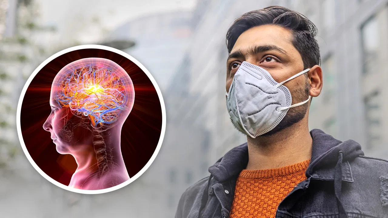 प्रदूषण में बढ़ जाता है साइलेंट स्ट्रोक का खतरा? डॉक्टर से जानें इसके खतरे प्रदूषण में बढ़ जाता है साइलेंट स्ट्रोक का खतरा? डॉक्टर से जानें इसके खतरे