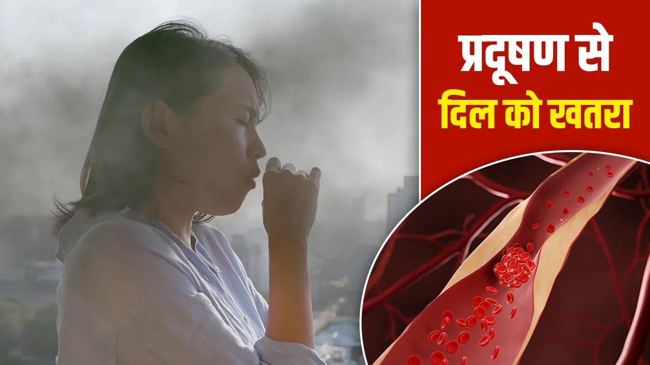 प्रदूषण से हार्ट की नसों में जमने लगता है खून, दिखें ऐसे लक्षण तो हो जाएं अलर्ट प्रदूषण से हार्ट की नसों में जमने लगता है खून, दिखें ऐसे लक्षण तो हो जाएं अलर्ट