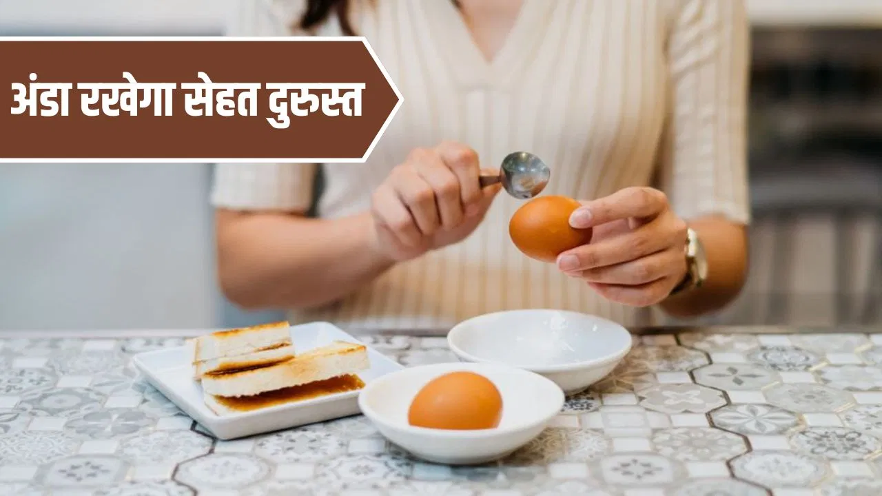 बच्चे, बुजुर्ग या जिम करने वाले…1 दिन में किसे कितने अंडे खाने चाहिए? एक्सपर्ट ने बताई लिमिट बच्चे, बुजुर्ग या जिम करने वाले...1 दिन में किसे कितने अंडे खाने चाहिए? एक्सपर्ट ने बताई लिमिट