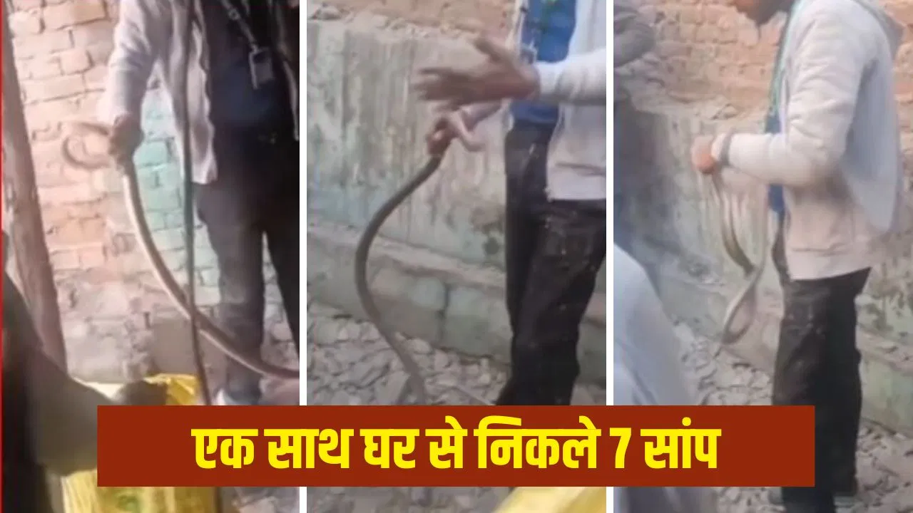 बाप रे बाप! अचानक घर की दीवार से निकलने लगे सांप, मची चीख पुकार… रोंगटे खड़े कर देगा सहारनपुर का ये Video बाप रे बाप! अचानक घर की दीवार से निकलने लगे सांप, मची चीख पुकार... रोंगटे खड़े कर देगा सहारनपुर का ये Video