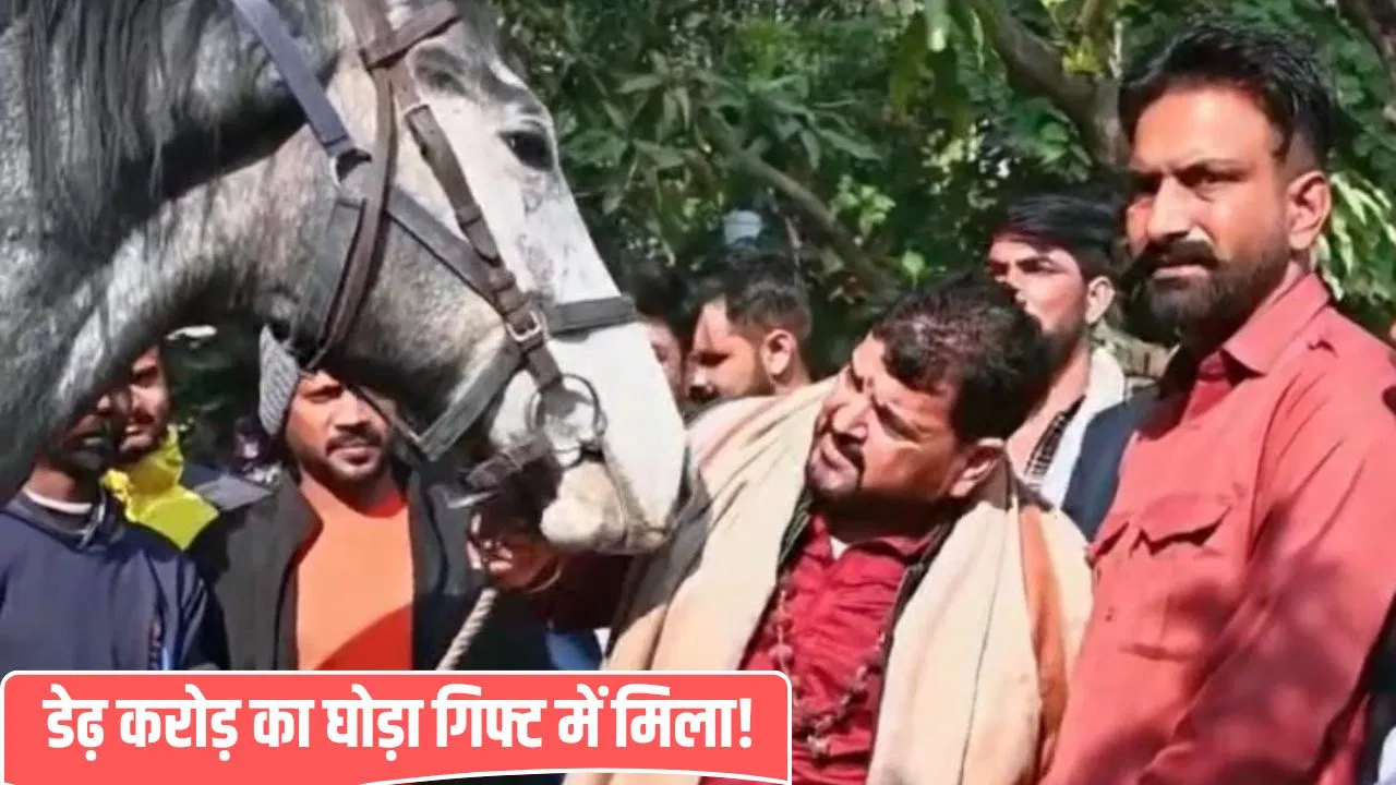 बृजभूषण शरण सिंह को गिफ्ट में मिला डेढ़ करोड़ का घोड़ा, कीमत सुन पूर्व सांसद बोले- ‘यार हम तो पागल हो जाएंगे’ बृजभूषण शरण सिंह को गिफ्ट में मिला डेढ़ करोड़ का घोड़ा, कीमत सुन पूर्व सांसद बोले- 'यार हम तो पागल हो जाएंगे'