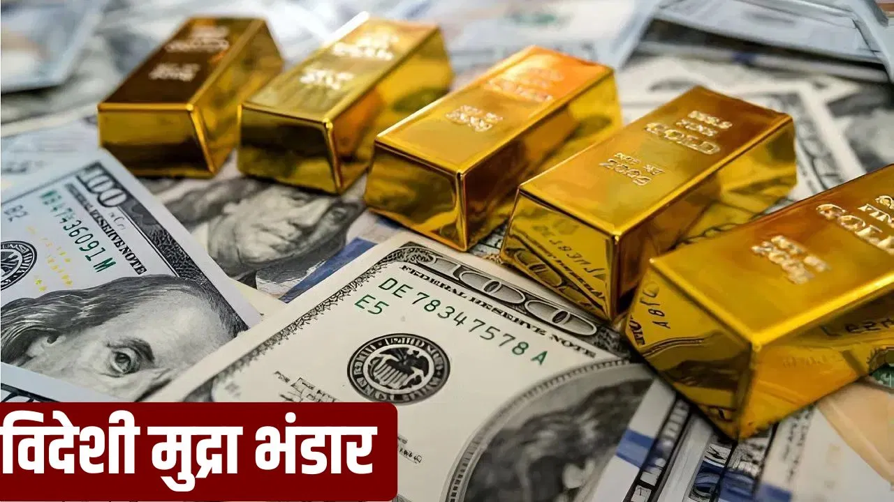 भारत का विदेशी मुद्रा भंडार हुआ और मजबूत, इन फैक्टर्स ने किया सपोर्ट भारत का विदेशी मुद्रा भंडार हुआ और मजबूत, इन फैक्टर्स ने किया सपोर्ट
