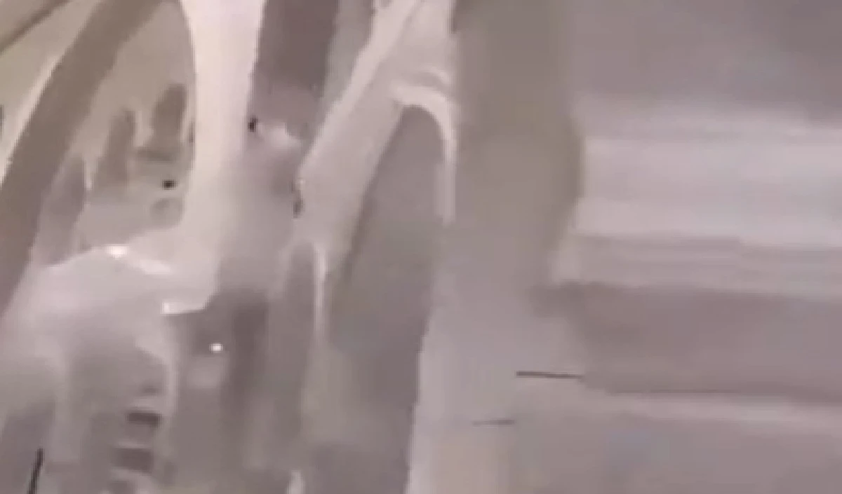 मक्का मस्जिद की छत से अचानक कूद गया शख्स! लेकिन नीचे… Video Viral मक्का मस्जिद की छत से अचानक कूद गया शख्स! लेकिन नीचे… Video Viral