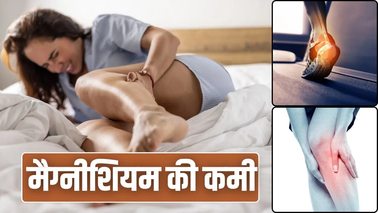 मांसपेशियों में ऐंठन, दर्द-थकान…मैग्नीशियम की कमी के दिख रहे लक्षण तो खाएं ये फूड्स मांसपेशियों में ऐंठन, दर्द-थकान...मैग्नीशियम की कमी के दिख रहे लक्षण तो खाएं ये फूड्स