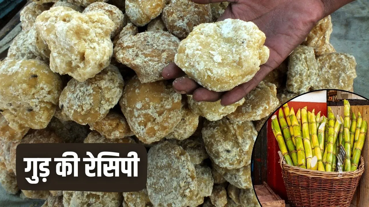 मिलावटी क्यों खाना… जब घर पर ही बन सकता असली गुड़, तरीका भी आसान मिलावटी क्यों खाना... जब घर पर ही बन सकता असली गुड़, तरीका भी आसान