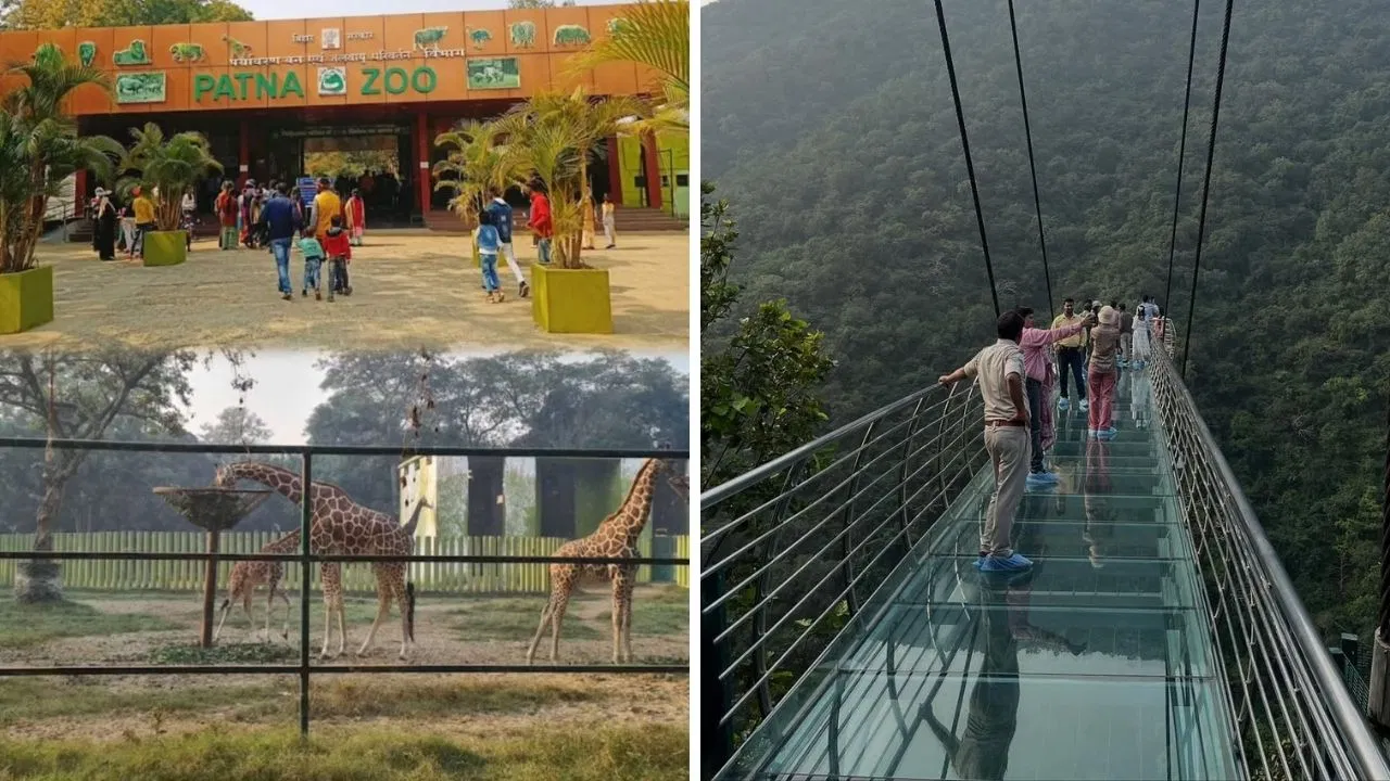 राजगीर से लेकर गंगा घाट तक…पटना वाले 1 दिन की शॉर्ट ट्रिप में यहां मनाएं न्यू ईयर, दिन बनेगा यादगार राजगीर से लेकर गंगा घाट तक...पटना वाले 1 दिन की शॉर्ट ट्रिप में यहां मनाएं न्यू ईयर, दिन बनेगा यादगार