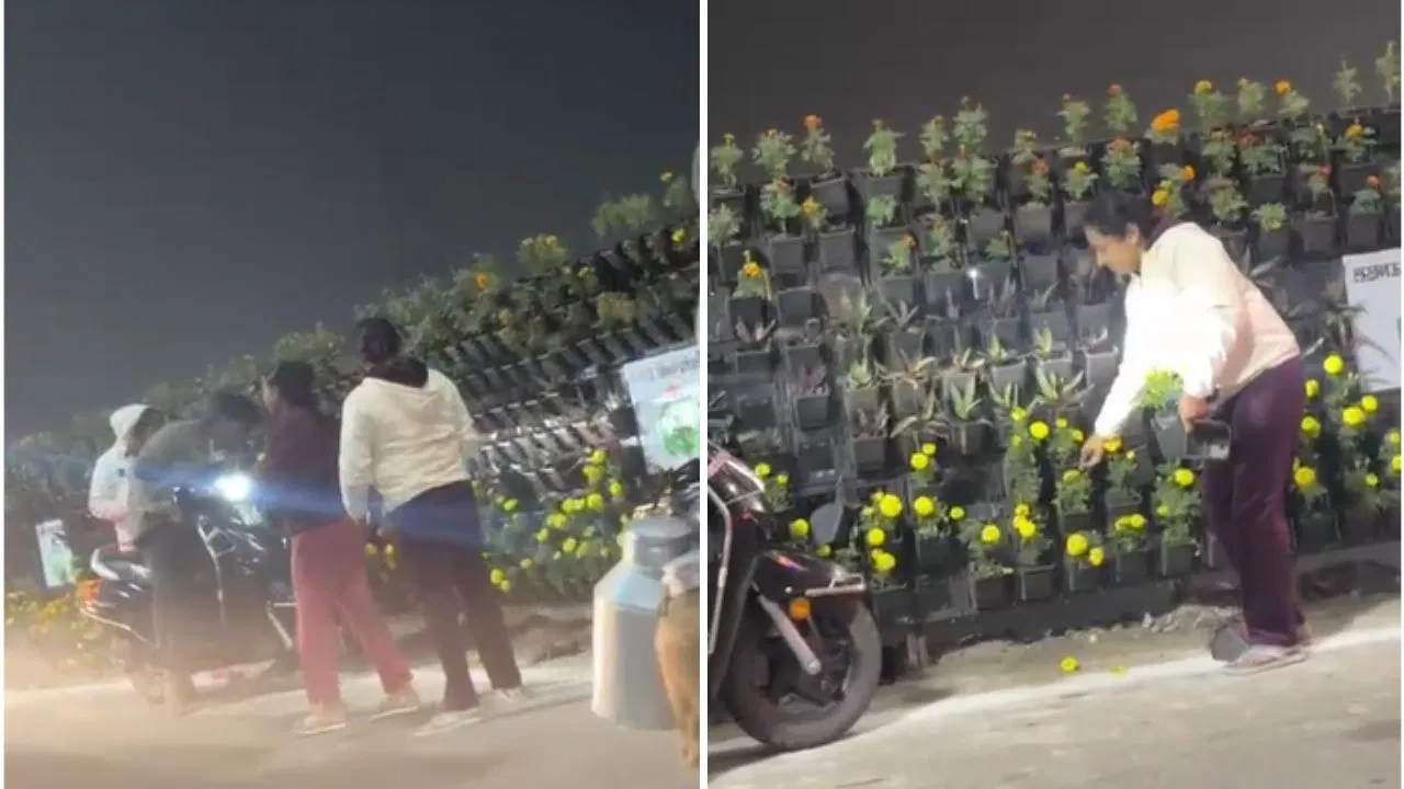 लखनऊ में प्रधानमंत्री के कार्यक्रम के बाद गमला चोरी का वीडियो वायरल, गाड़ियों से आए और उठाकर ले गए लोग-Video लखनऊ में प्रधानमंत्री के कार्यक्रम के बाद गमला चोरी का वीडियो वायरल, गाड़ियों से आए और उठाकर ले गए लोग-Video