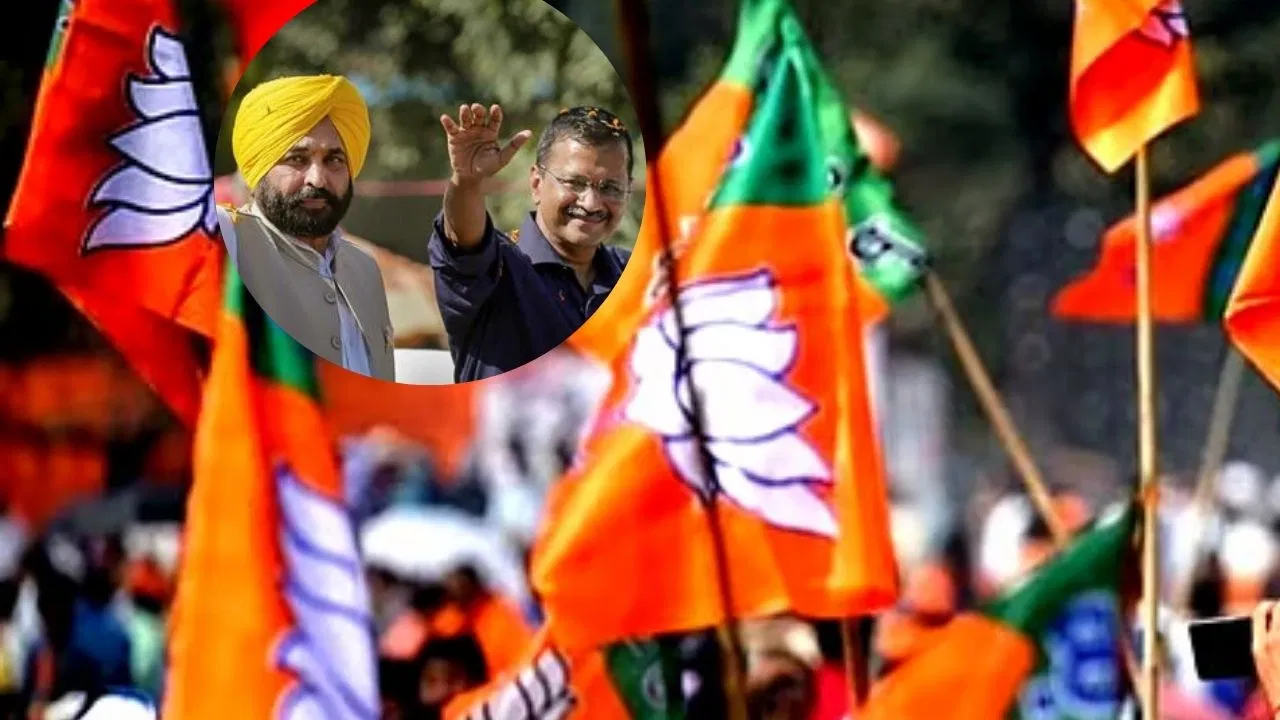 लोकल चुनाव: अरुणाचल और महाराष्ट्र में BJP का जलवा, पंजाब में फेल… गोवा में क्या हुआ? लोकल चुनाव: अरुणाचल और महाराष्ट्र में BJP का जलवा, पंजाब में फेल... गोवा में क्या हुआ?