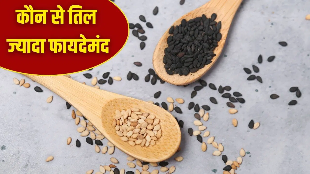 सफेद तिल खाना जाएंगे भूल…काले तिल के जान लें पोषक तत्व और फायदे सफेद तिल खाना जाएंगे भूल...काले तिल के जान लें पोषक तत्व और फायदे