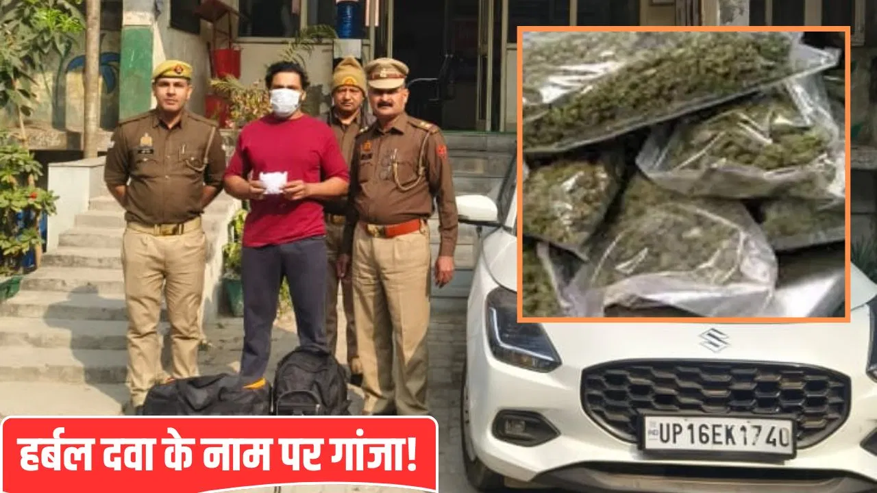 हर्बल दवा के नाम पर गांजा… नोएडा में ऐसे चल रहा था नशे का कारोबार, पुलिस ने किया भंडाफोड़ हर्बल दवा के नाम पर गांजा... नोएडा में ऐसे चल रहा था नशे का कारोबार, पुलिस ने किया भंडाफोड़