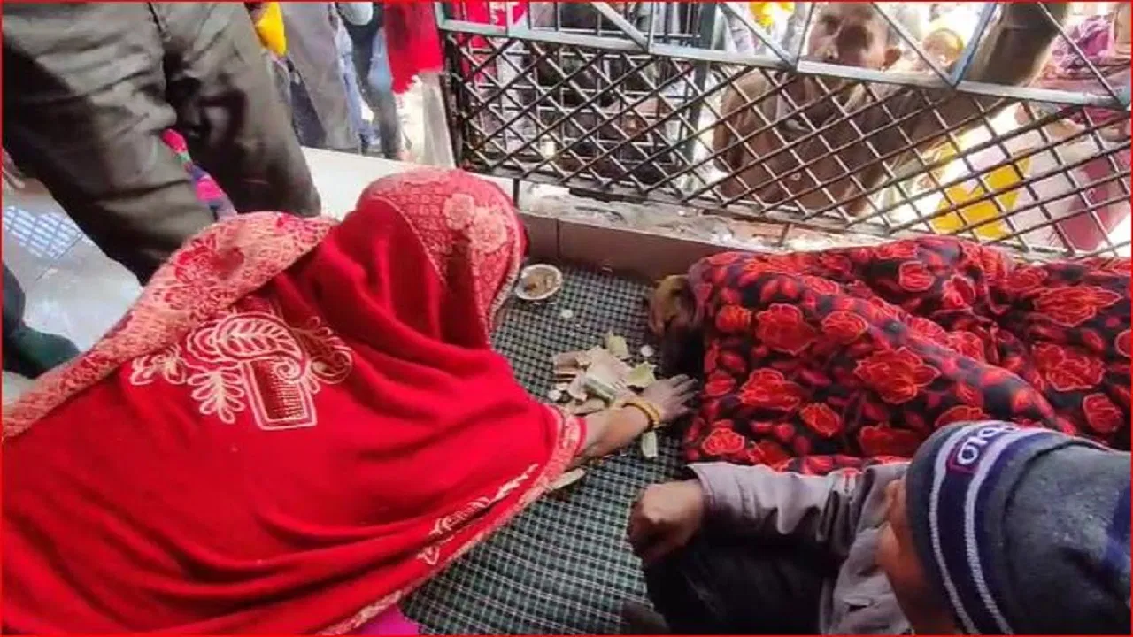 120 घंटे तक हनुमान और मां दुर्गा की मूर्ति की परिक्रमा करता रहा कुत्ता, हालत हुई नाजुक… डॉक्टरों ने दी’फ्रूट थेरेपी’ 120 घंटे तक हनुमान और मां दुर्गा की मूर्ति की परिक्रमा करता रहा कुत्ता, हालत हुई नाजुक... डॉक्टरों ने दी'फ्रूट थेरेपी'