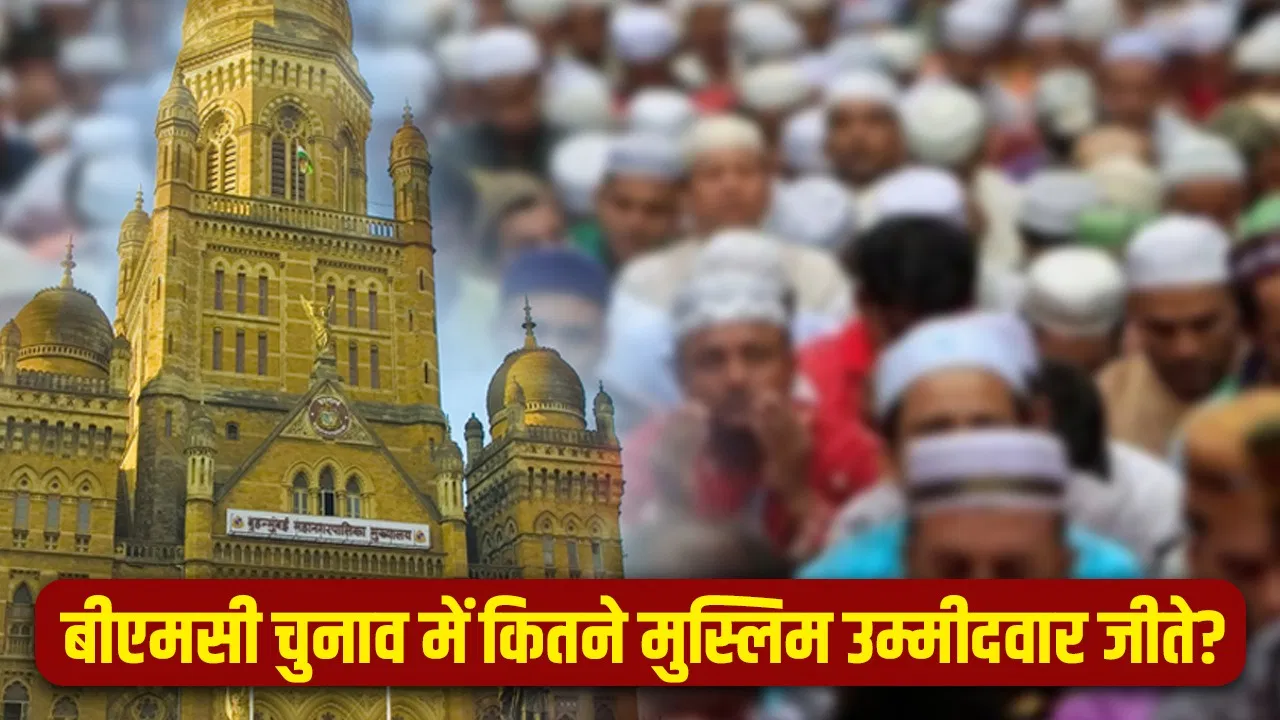 BMC Election Result: AIMIM से शिवसेना तक… मुंबई के चुनाव में कितने मुस्लिम उम्मीदवारों को मिली जीत? BMC Election Result: AIMIM से शिवसेना तक... मुंबई के चुनाव में कितने मुस्लिम उम्मीदवारों को मिली जीत?