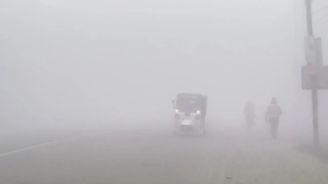 Bihar Cold Wave Alert: बिहार में शीतलहर का कहर… घने कोहरे से जनजीवन ठप, अगले 5 दिन कोल्ड डे का अलर्ट Bihar Cold Wave Alert: बिहार में शीतलहर का कहर... घने कोहरे से जनजीवन ठप, अगले 5 दिन कोल्ड डे का अलर्ट