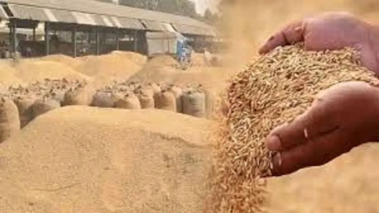 Chhattisgarh: 17.77 लाख किसानों से 105.14 लाख मीट्रिक टन धान की खरीदी, खातों में पहुंचे ₹23,448 करोड़ Chhattisgarh: 17.77 लाख किसानों से 105.14 लाख मीट्रिक टन धान की खरीदी, खातों में पहुंचे ₹23,448 करोड़